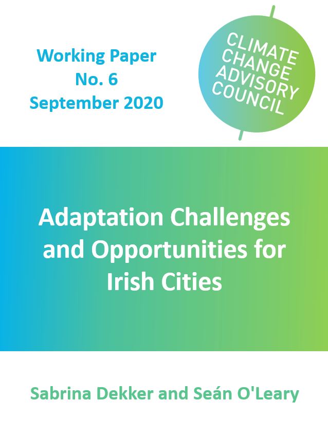 Working Paper No. 6: Adaptation Challenges and Opportunities for Irish Cities